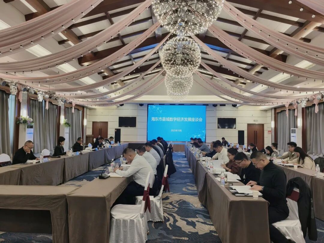 中心相关负责同志参加海东市县域数字经济发展座谈会